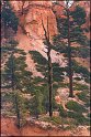 Amerika2000-350_Bryce Canyon NP