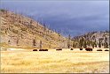 Amerika2000-404_Yellowstone NP