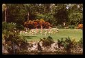 1979 Amerika-231 Miami Florida Tropische Tuin