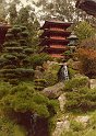1980 Amerika-324 San Francisco Japanse theetuin in Golden Gate park